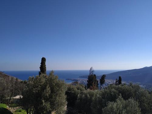 Andros Town House | Pure Nature House