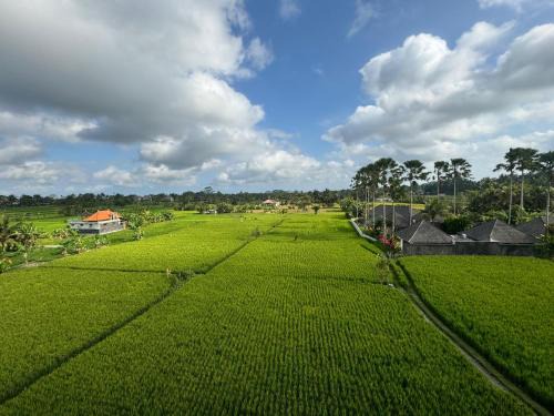 Kedewatan House | Puri Taksu Guest House