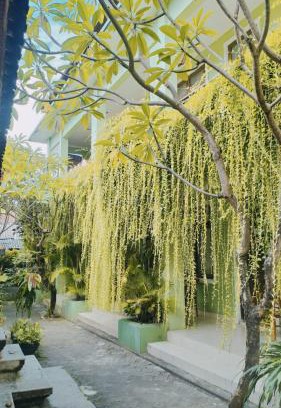 Kuta House | PURNAMA HOUSE KUTA
