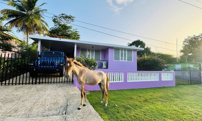 Esperanza House | Purple Sunset - Walk to Malecon & Beaches