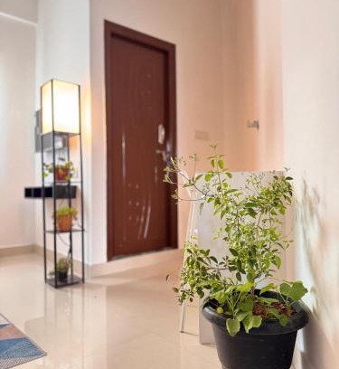 Koramangala Apartment | Purple wall kormangala 4th block