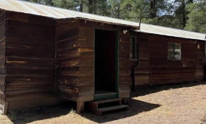 Alpine Cabin | Quaint Country Cabin in the tall pines AlpineAZ #2