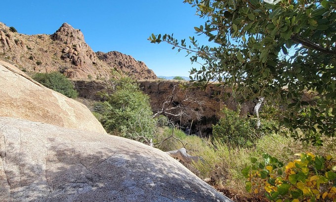 Pearce House | Quaint home in southern Arizona wine country. Pet Friendly!