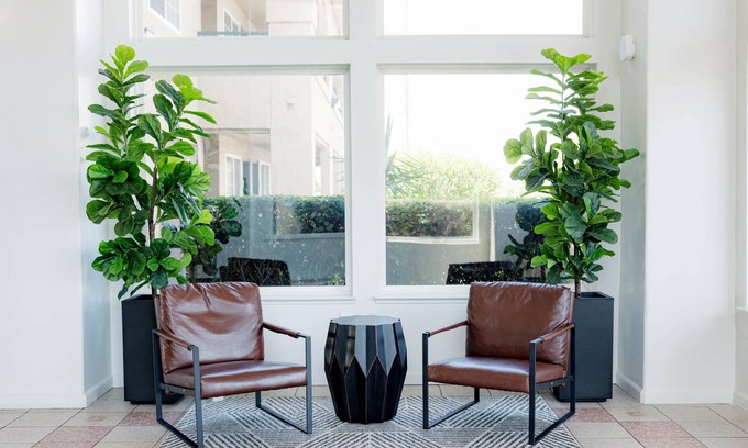 Lathrop Hotel | Quality Inn & Suites Lathrop - South Stockton
