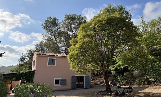 Carces House | Quiet and isolated house in the heart of the vineyards in Provence