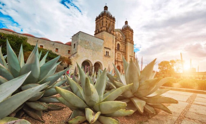 San Jacinto Amilpas House | quiet and safe place 15 minutes from the zocalo.