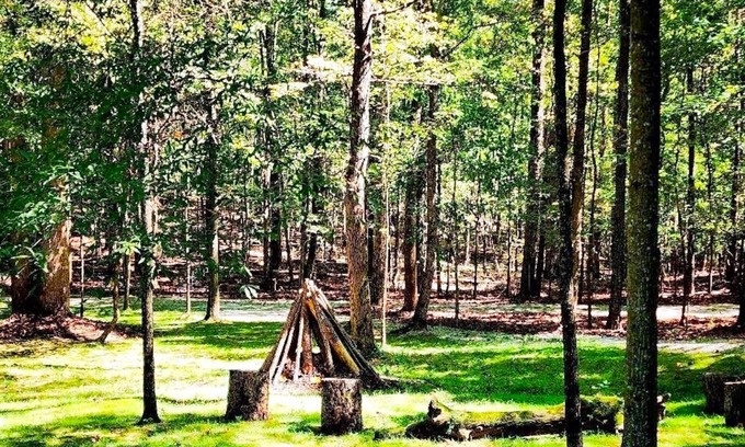 Palmetto Cabin | Quiet Cabin Retreat Near Serenbe