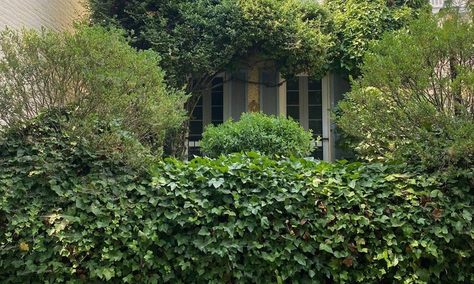Georgetown House | Quiet Charm in the Heart of Georgetown