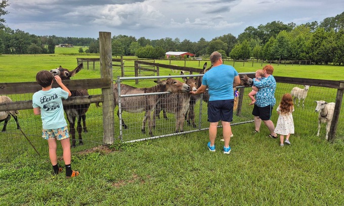 Williston House | Quiet Country Getaway in Horse County Close to Ocala/Gainesville, Pet Friendly!