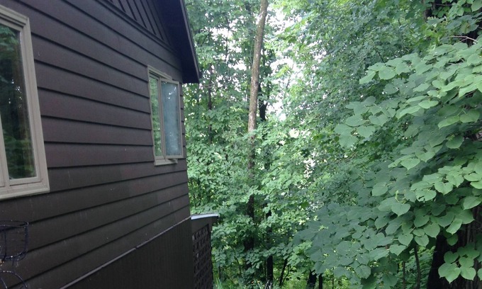 Janesville Apartment | Quiet time in the woods.
