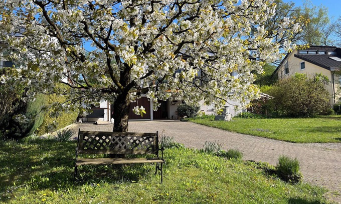 Uhldingen-Muehlhofen Condo | Quiet vacation apartment, not far from the Affenberg, ideal for hiking and cycling