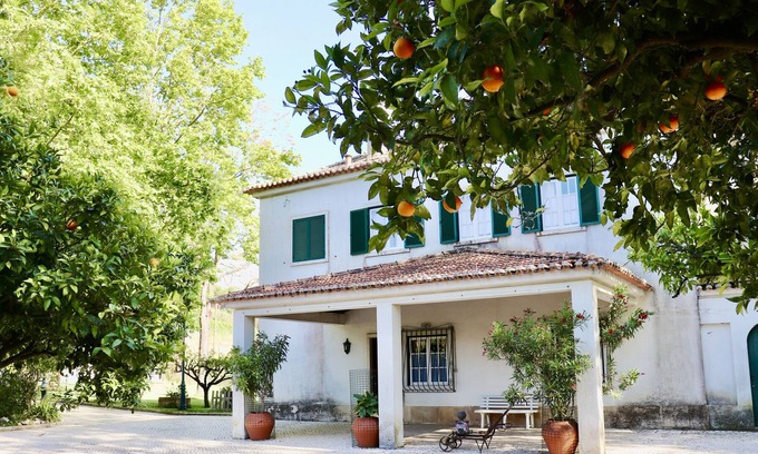 Carvalhal Benfeito Villa | Quinta da Barreira - Exceptional Villa set within a beautiful vineyard
