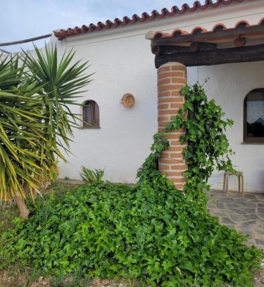 Reguengos de Monsaraz House | Quinta da Belavista