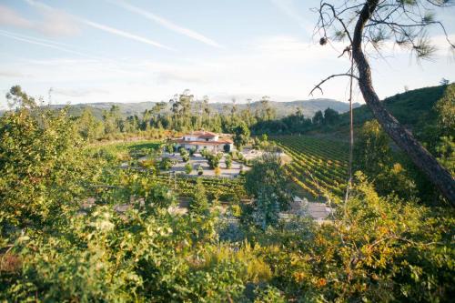 Pedraca Bed & Breakfast | Quinta da Paixão - Bed & Breakfast