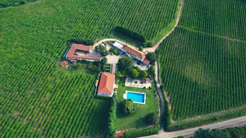 Moncao House | Quinta das Vianas - Casas do Picadeiro