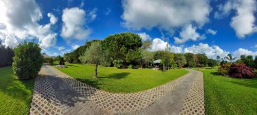 Cacia House | Quinta do Mateus