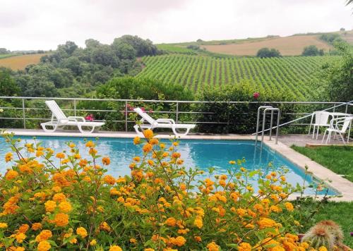 Pereiro da Palhacana Cabin | Quinta Santo António