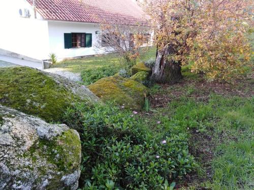 Castelo Novo House | Quinta Souto da Ordem - House