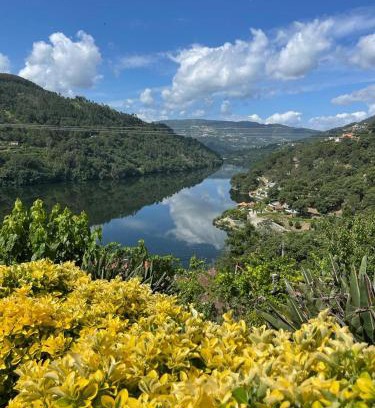 Ribadouro House | Quinta Vale do Cabo