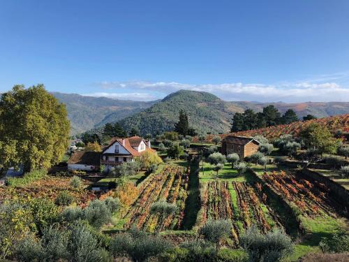Cotas House | Quinta Vila Rachel - Winery