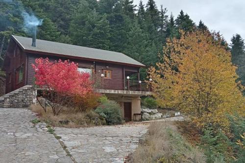 Gortynia Ski Chalet | Rados chalet
