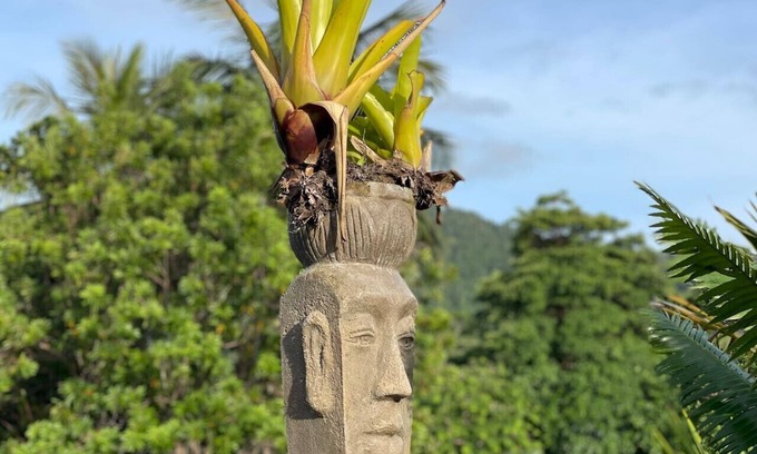 Mission Beach Apartment | Rainforest King Rooms | Shared Kitchen + Lounge | Sleeps 2–8