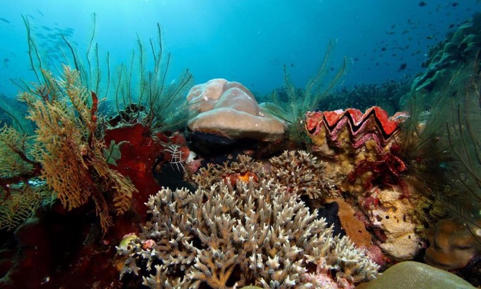 Raja Ampat House | Raja Ampat dive tour