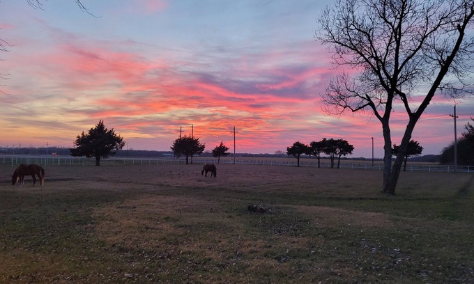Pilot Point Other | Ranch at Lake Ray Roberts - 10 Acres walk to lake 4 Bed 2 Bath