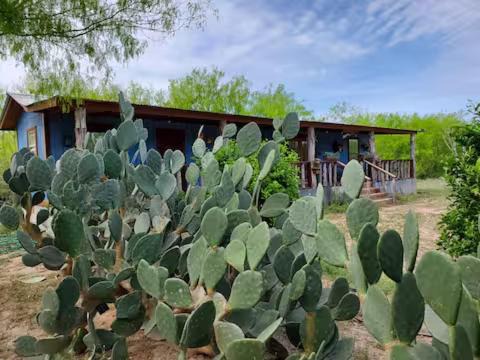 Garciasville House | Ranch Family Cabin