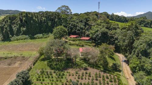 Cirri Sur Hotel | Rancho Amalia