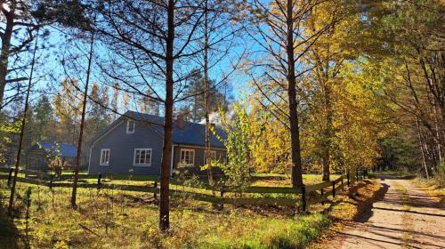 Lielirbe Apartment | Randas1