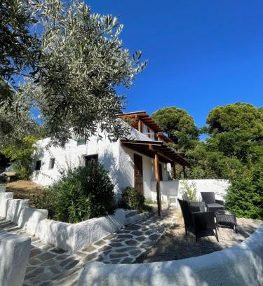 Troulos House | Rastoni Apartments Skiathos