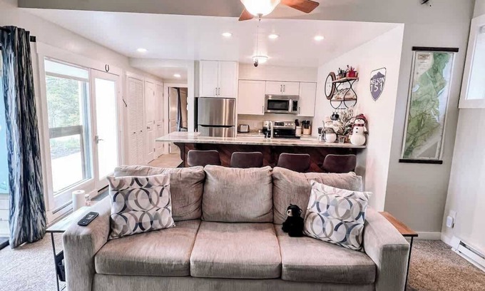 Nellysford Apartment | Ready for Ski Season! Book NOW!