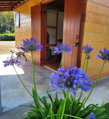 Goncalves Ski Chalet | Recanto da Natureza- Chalé