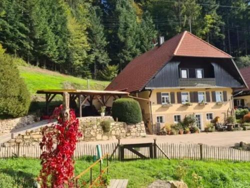 Fischerbach Apartment | Rechenpeterhäusle