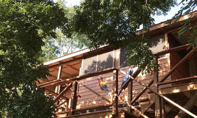Mount Hope Apartment | Red Parrot - new famous house within the nature