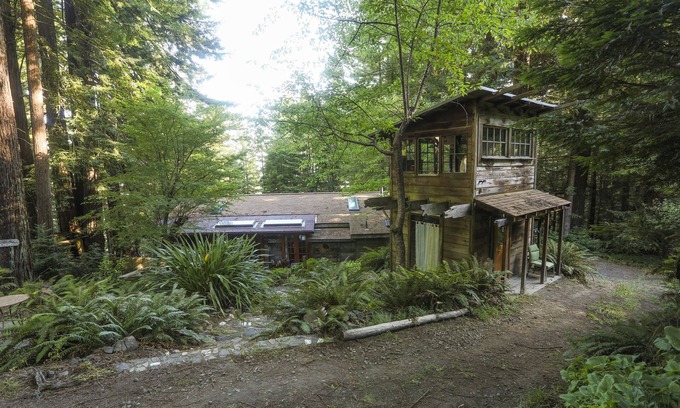 Mendocino Cabin | Redwood Forest Getaway