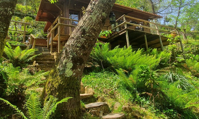Miranda do Corvo Cabin | Refúgio do Galhardo