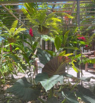 Morere House | REFUGIO DO SAGRADO MORERE