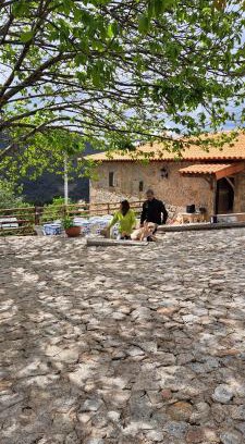 Bico House | Refugio dos Cartolas