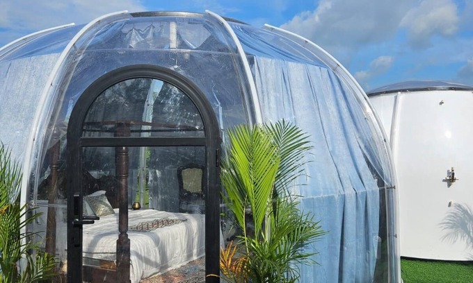 Naini Hotel | Regenta Evolife Dome City, Prayagraj.