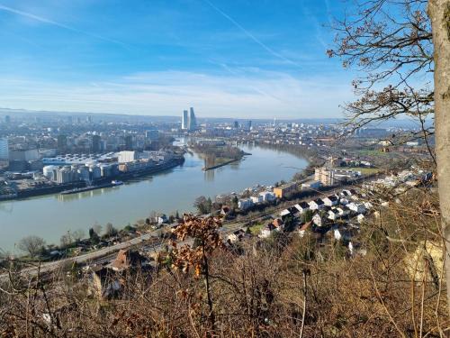 Grenzach-Wyhlen Apartment | Regio Basiliensis