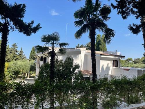 Lama House | Relais LaValle