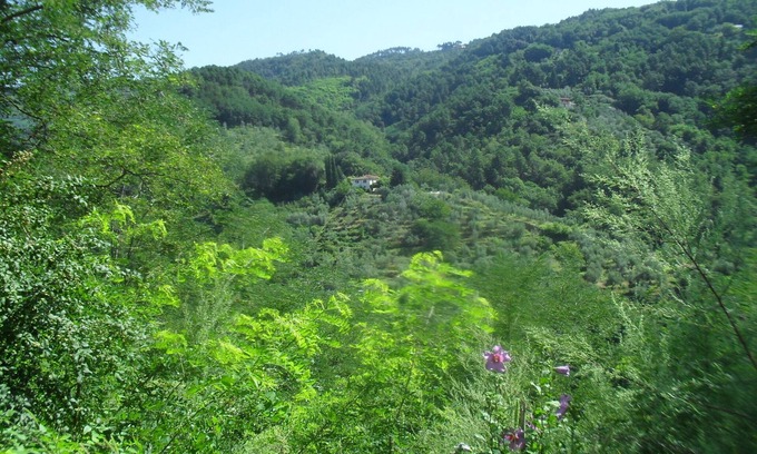 Marliana House | Relaxing house in the green of Tuscany