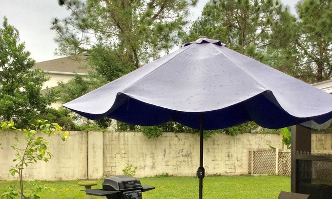 Citrus Park House | Relaxing vacation home in Logan gate village