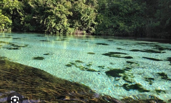 Weeki Wachee Gardens Cottage | Rent Cottage and/or RV site 37ft ' Fish, Kayaks, Fire Pit, Dock, Beach, Swim