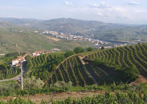 Peso da Regua House | Retiro da Quinta do Souto