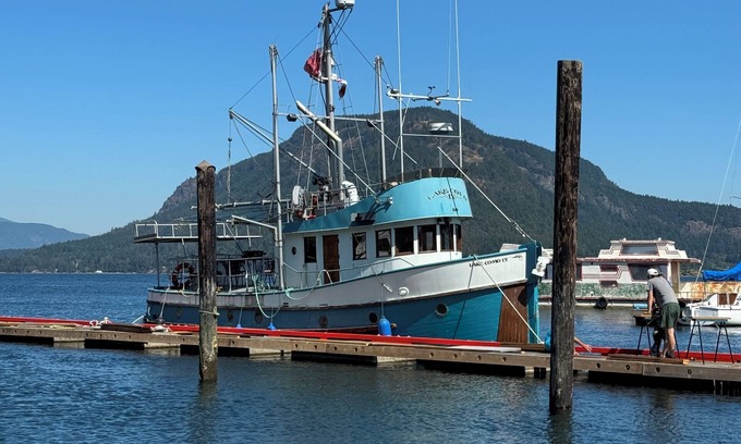 Cowichan Bay Boat Rental | Retro Boat in Quiet Marina, Whale Watching, Sea Otters and Lions, Crab Fishing