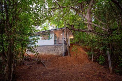 Hikkaduwa Villa | Rhapsody Villa by The Lake