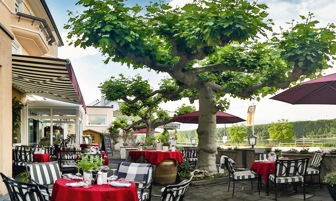 Mainz-Bingen Hotel | Rhein-Hotel Nierstein